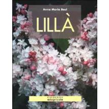 Lillà