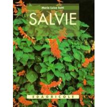 Salvie