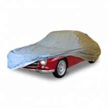 Autoabdeckung Mercedes 190 SL - W121 - Externresist schutz im aussenbereich
