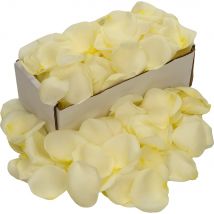 Box of Fresh White (Avalanche) Rose Petals