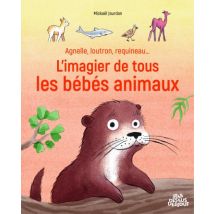 Agnelle, loutron, requineau... L'imagier de tous les bébés animaux Agnelle, loutron, requineau... L'imagier de tous les bébés animaux - BD Jeunesse - 