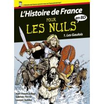 L'Histoire de France en BD Pour les Nuls T.1 Histoire de France en BD Pour les Nuls, Tome 1 - Roman Graphique Documentaire - First - 2013 - VF