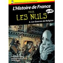 L'Histoire de France en BD Pour les Nuls T.6 Histoire de France en BD Pour les Nuls - Tome 6 : Les guerres de religion - Roman Graphique Documentaire 