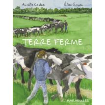 Terre ferme Terre ferme - BD Chronique Sociale - Publié par Marabulles - Sortie en 2021 - VF