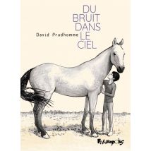 Du bruit dans le ciel Du bruit dans le ciel - BD Documentaire - Publié par Éditions Futuropolis - Sortie en 2021 - VF