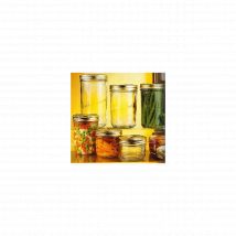LE PARFAIT Lot de 6 terrines 110 mm 1000 g - Familia Wiss