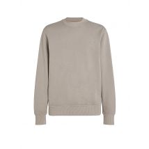 CALVIN KLEIN JEANS Sweater grau | L