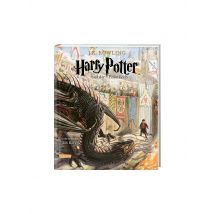 CARLSEN VERLAG Buch - Harry Potter und der Feuerkelch (Schmuckausgabe) 4
