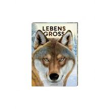 COPPENRATH VERLAG Buch - Lebensgroß - Tiere des Waldes
