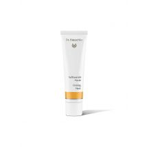 DR. HAUSCHKA Aufbauende Maske 30ml