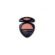 DR. HAUSCHKA Rouge - Blush (02 Apricot)