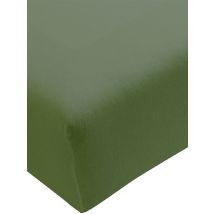 FORMESSE Jersey-Spannleintuch Bella Donna 140/200 cm - 160/220 cm (Olive) olive