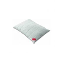 HEFEL Kissen Bio Wool 40x60cm (champagner) beige