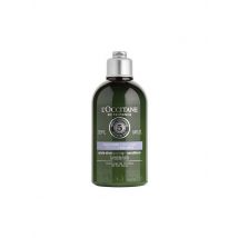 L'OCCITANE Milder Conditioner - Beruhigend 250ml