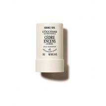 L'OCCITANE Baux Deo Stick Nachfüllpackung 70g