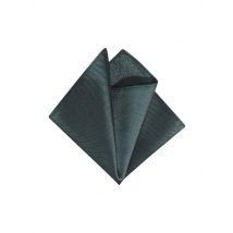 SEIDENFALTER Stecktuch grün