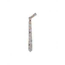 SEIDENFALTER Krawatte PRINCE BOWTIE bunt