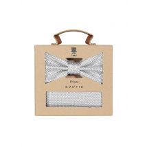 SEIDENFALTER Geschenkset - Fliege und Stecktuch  hellgrau