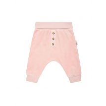 STEIFF Baby Jogginghose  rosa | 62