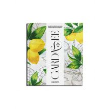 CALLWEY Buch - ZU GAST AM GARDASEE keine Farbe