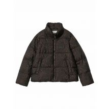 CARHARTT WIP Steppjacke SPRINGFIELD braun | L