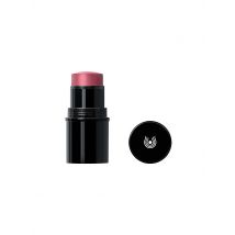 DR. HAUSCHKA Lip to Cheek (03 Rosewood)