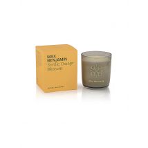 MAX BENJAMIN Duftkerze CLASSIC COLLECTION 210g Orange Blossom orange
