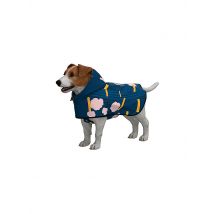 RAINKISS Hunde Regenponcho blau | XS