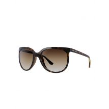 RAY BAN Sonnenbrille Cats 1000 braun