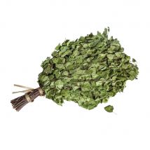 Birkenreisig für die Sauna
