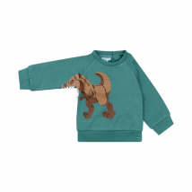 Flinq jongens sweater