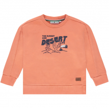 Stains & Stories jongens sweater