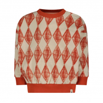The New Chapter unisex sweater