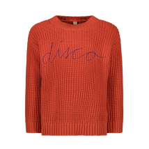 The New Chapter unisex trui