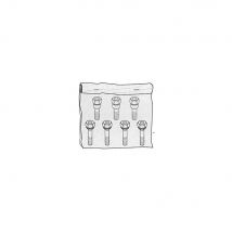 Kit Vis Anti-effraction - Acc. Coral/vigilo Aut. Fadini - Fabriquant: MECCANICA FADINI