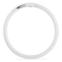 Bell 40w 830 T9 Circular Fluorescent Tube - Warm White