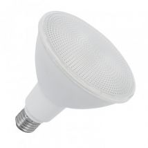 LED Lamp E27 15W 1350 lm PAR38 IP65 -Helder wit 4000K