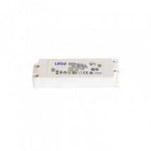Driver LIFUD 100-240V No Flicker Salida 27-40V 1000mA 40W LF-GIF040YC -40 W