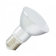 LED Lamp E27 5W 450 lm PAR20 IP65 Wit 6000K