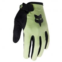 Fox Ranger Youth MTB Gloves Cucumber