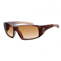 Ryder Poly Trapper Sunglasses Demi/Brown Lens Gradient