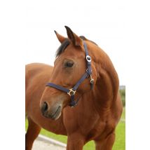Nylonhalfter Hippo, Cob