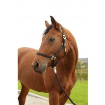 Nylonhalfter Hippo, Shetty