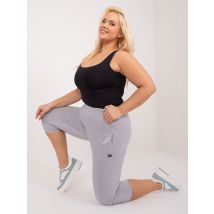 Spodnie plus size szare