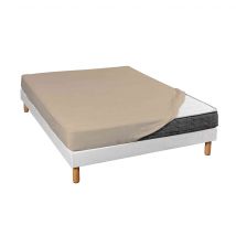 Terre de Nuit - Drap housse jersey beige bonnet 30 cm 100% coton biologique 90x200 - - Beige - Uni