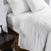 Drap plat coton lavé - SOMEO Blanc 240x300 en - - Blanc - Someo
