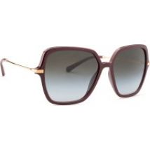 Dolce &amp; Gabbana 0DG 6157 32858G 57