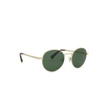 Hawkers Moma - Polarized Gold Alligator