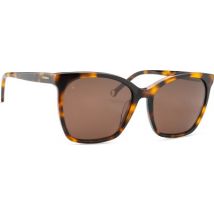 Lentiamo Petra Havana Brown