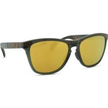 Oakley Frogskins Range XL OO 9503 04 58